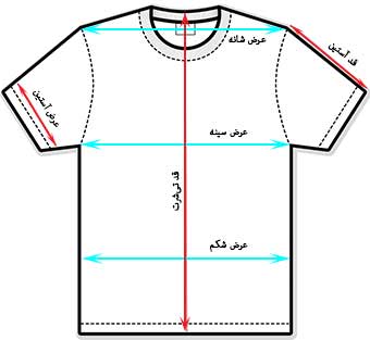 T-Shirt and Polo Shirt Size Guide